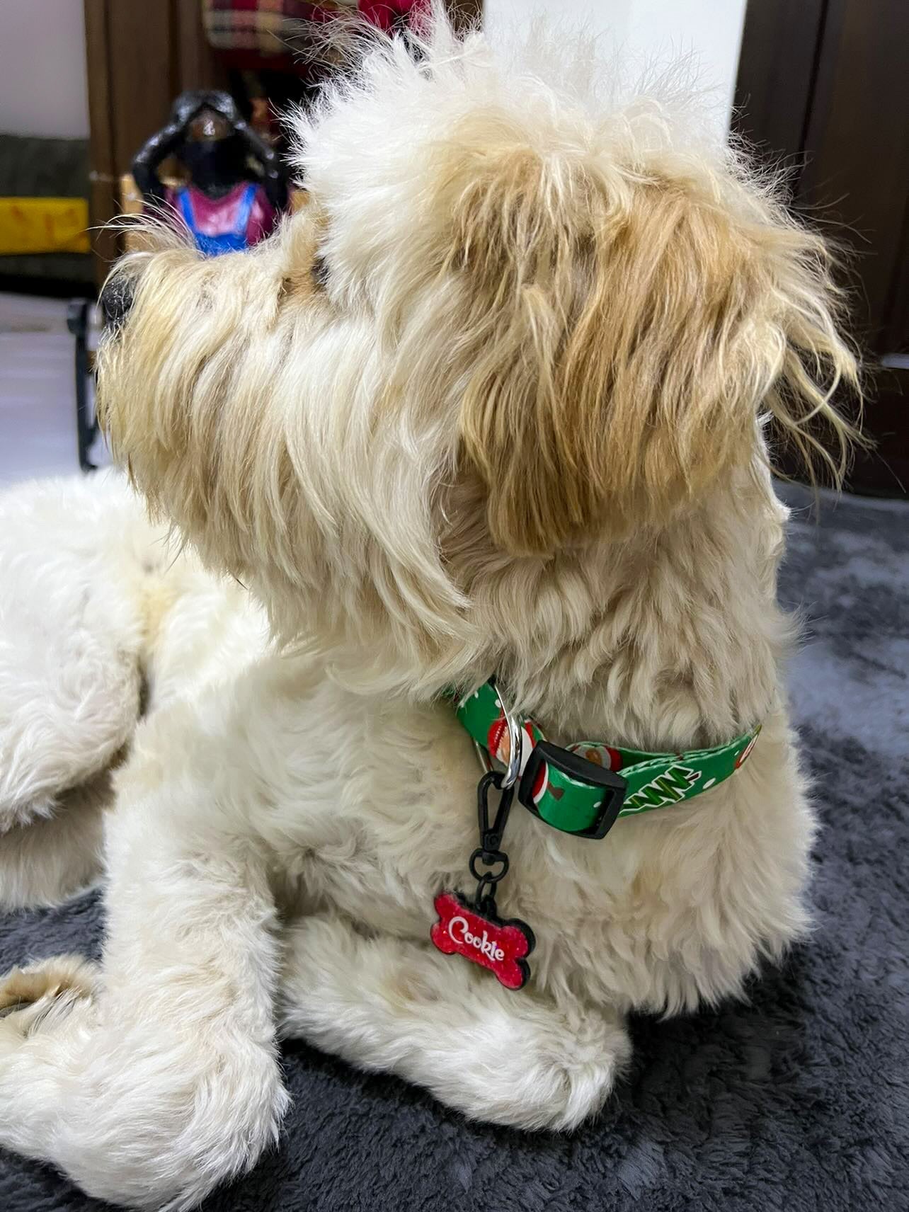 Santa | Dog Collar