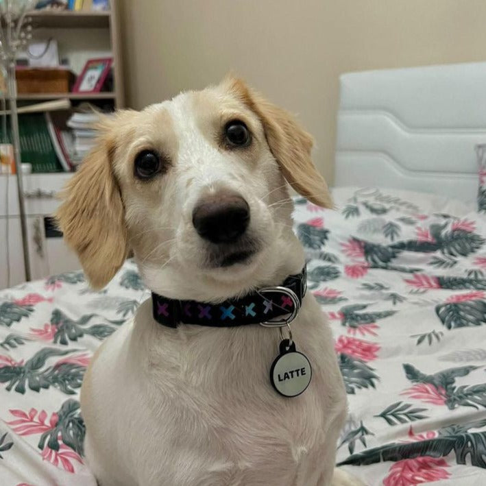 Lumi Yuvarlak Fosforlu | İsimlik