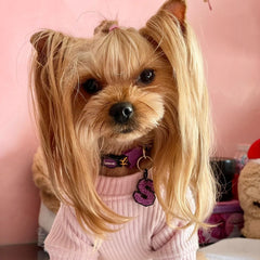 Mor Glitter Harf Künyeler | Tüm Harfler