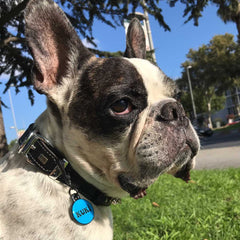 Mavi Neon Yuvarlak | İsimlik