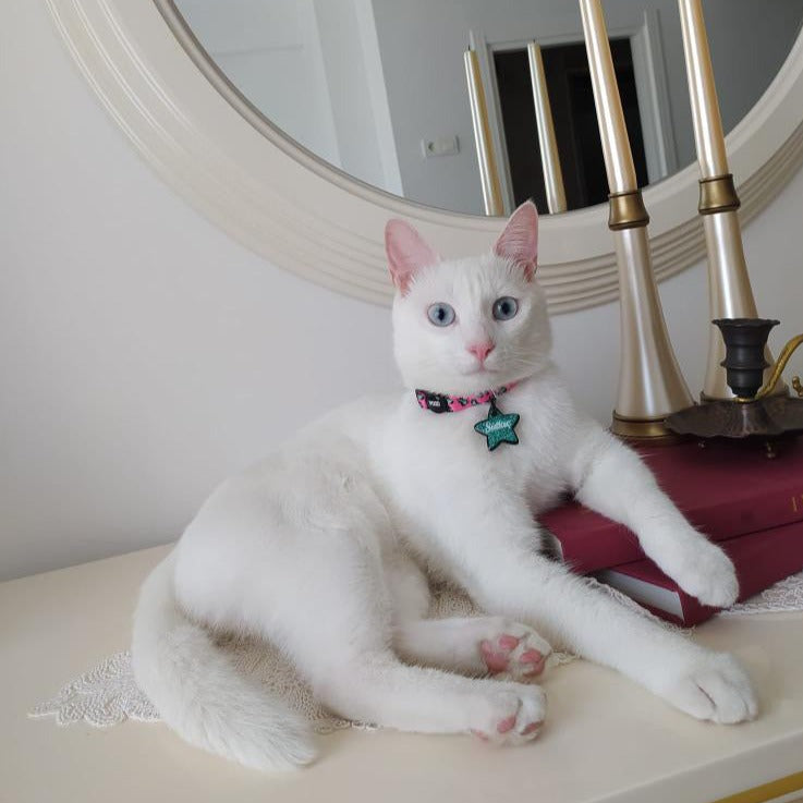 Pinky | Cat Collar