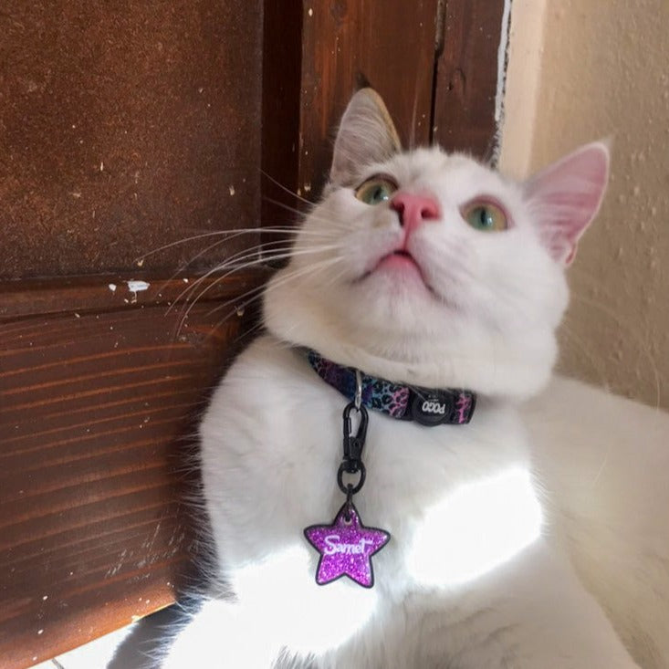 Mor Glitter Yıldız | İsimlik