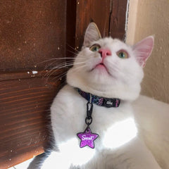 Mor Glitter Yıldız | İsimlik