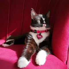 Fuşya Glitter Kalp | İsimlik