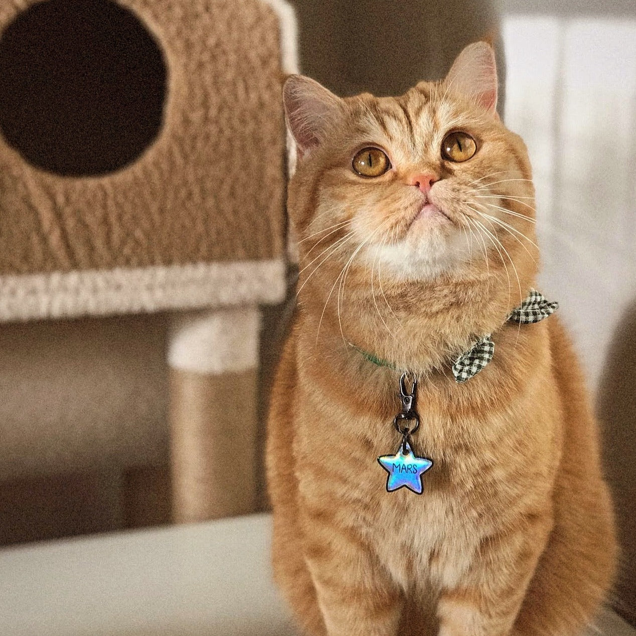 Holographic Yıldız | İsimlik