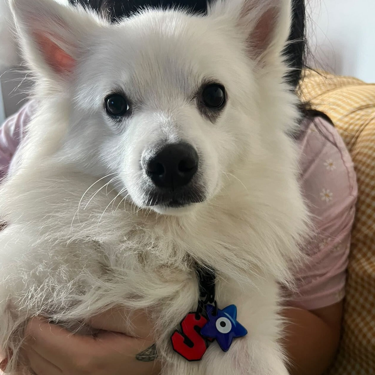 Kırmızı Neon Harf Künyeler | Tüm Harfler