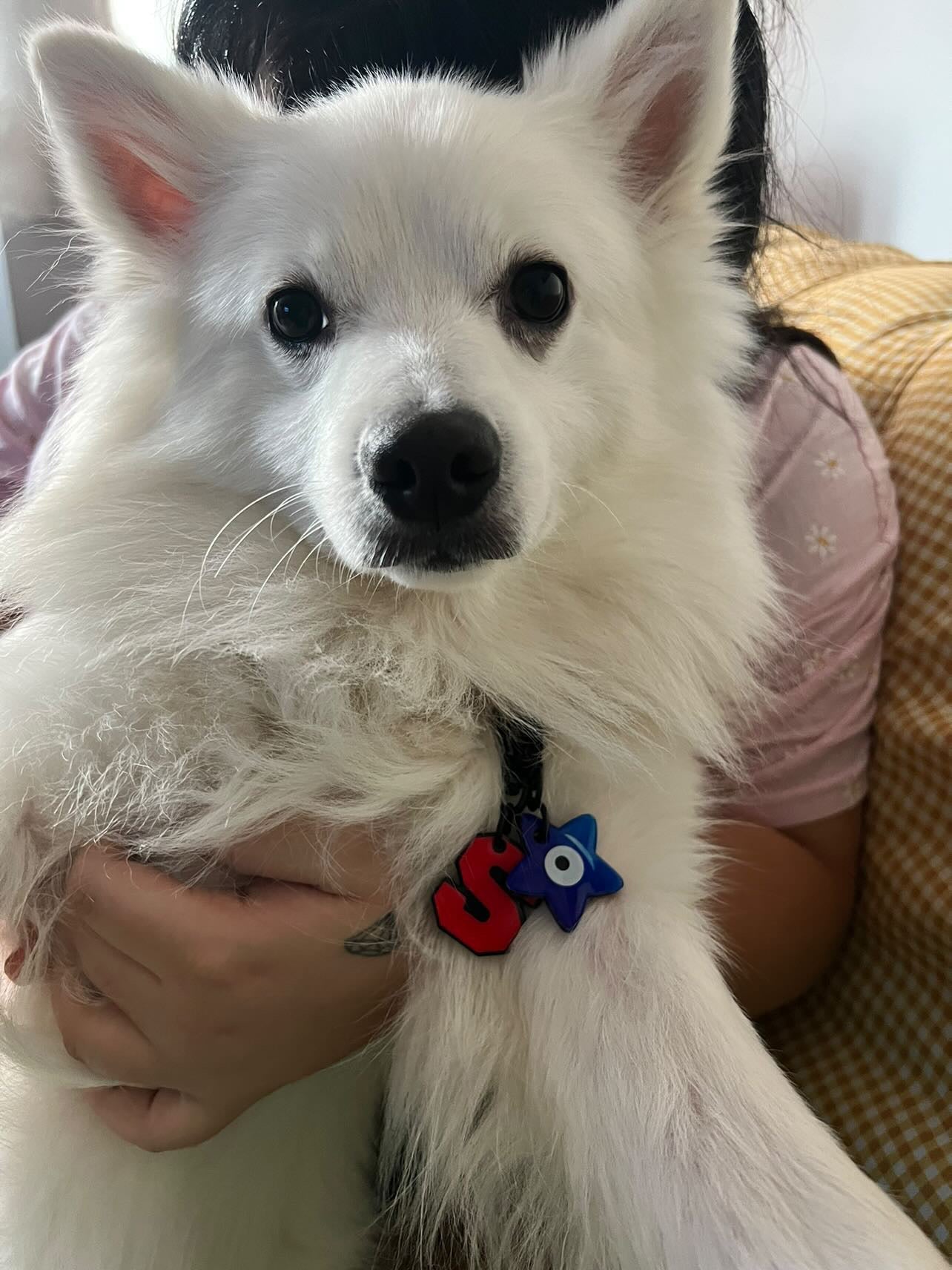 Nazar Boncuğu Yıldız