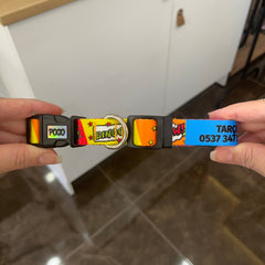 Bang | Dog Collar