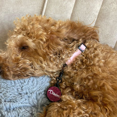 Fuşya Glitter Yuvarlak | İsimlik