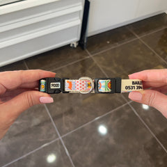 Groovy | Tasma ve Künye Seti