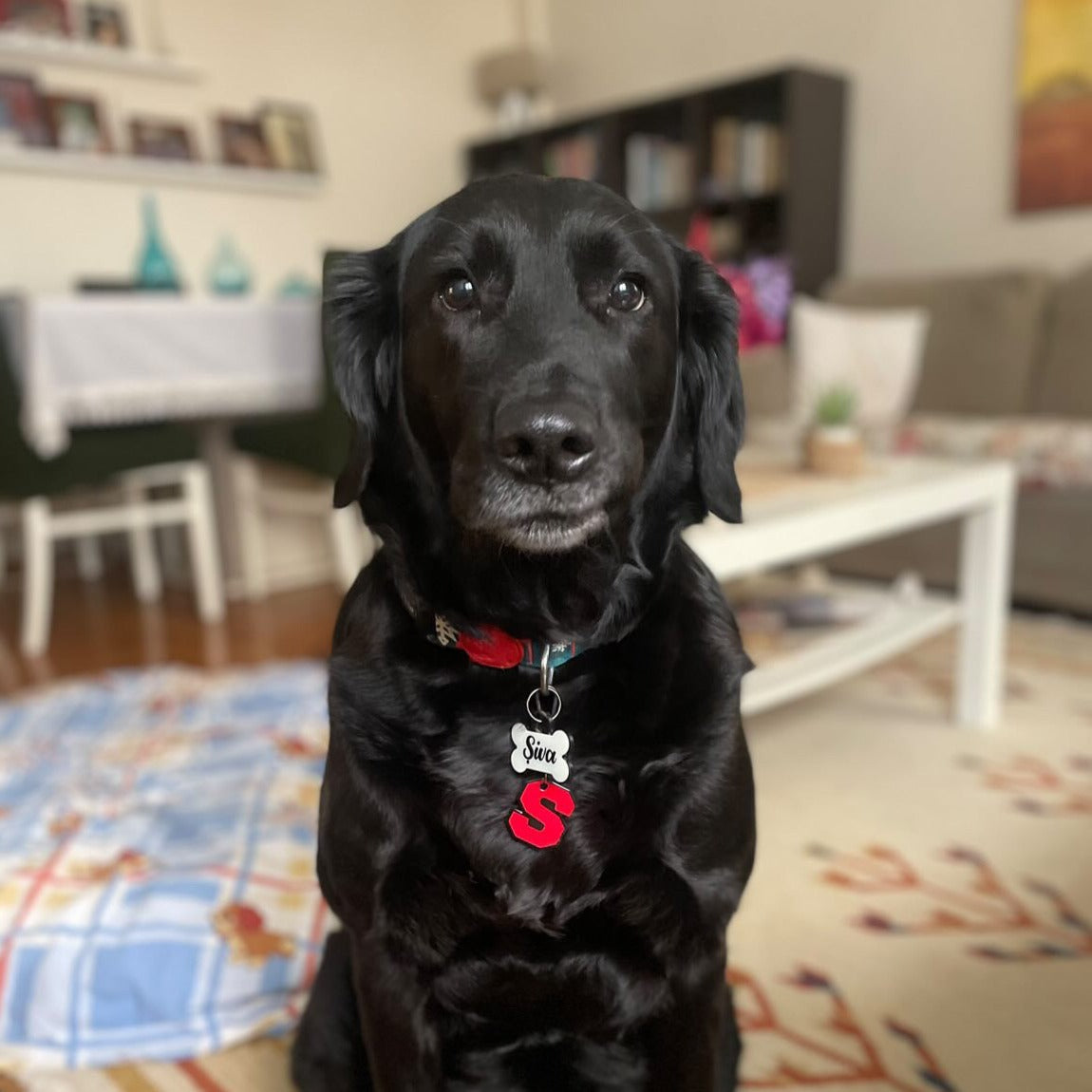 Kırmızı Neon Harf Künyeler | Tüm Harfler