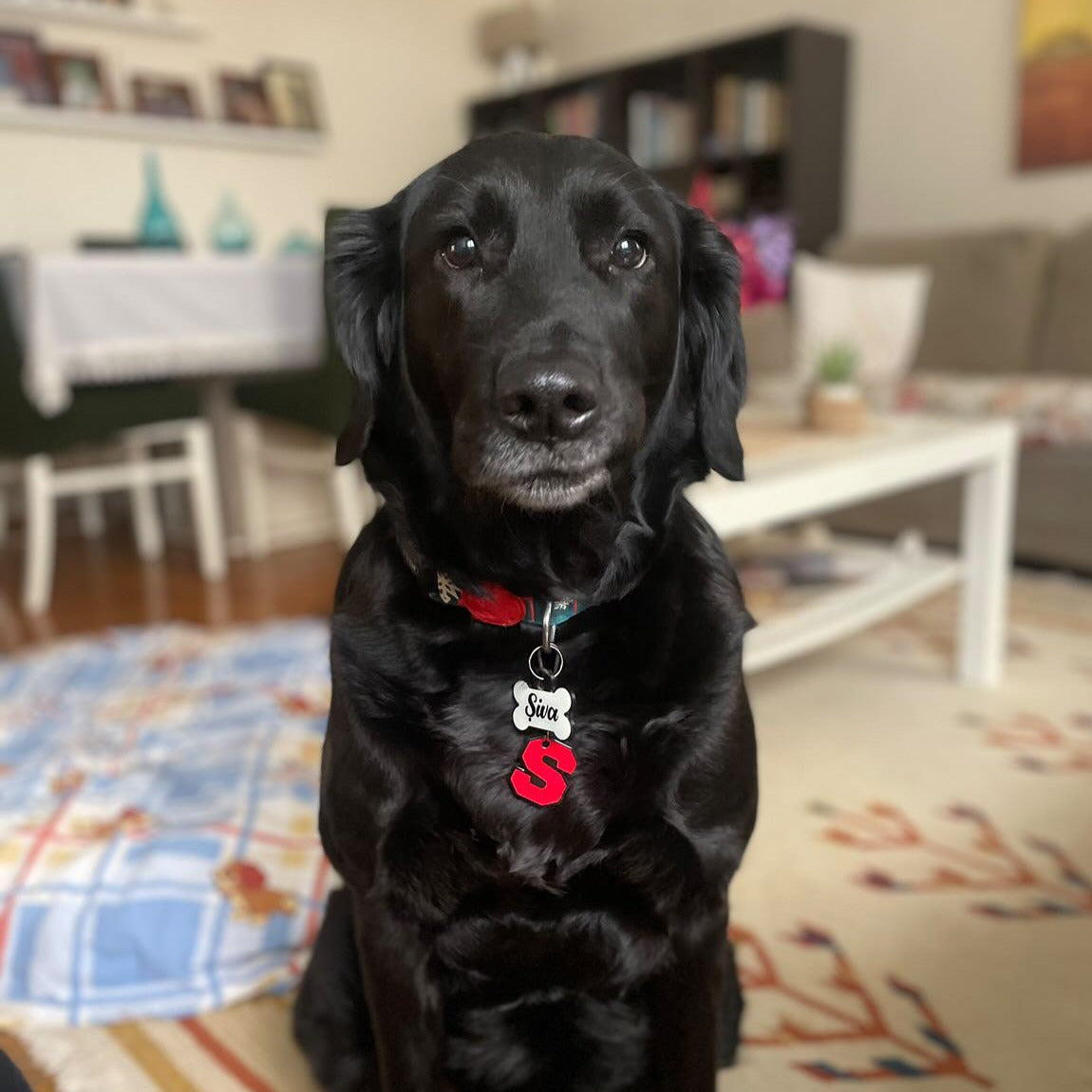 Lumi Kemik Fosforlu | İsimlik