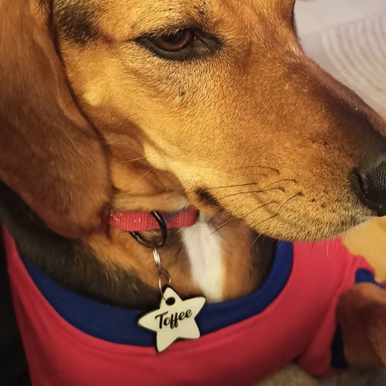 Lumi Yıldız Fosforlu | İsimlik