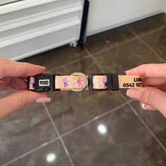 Bloom | Dog Collar