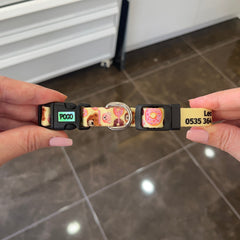 Donut Bear | Dog Collar