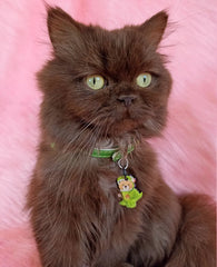 Dinazor Ayıcık | İsimlik