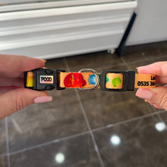 Jelly Beans | Dog Collar
