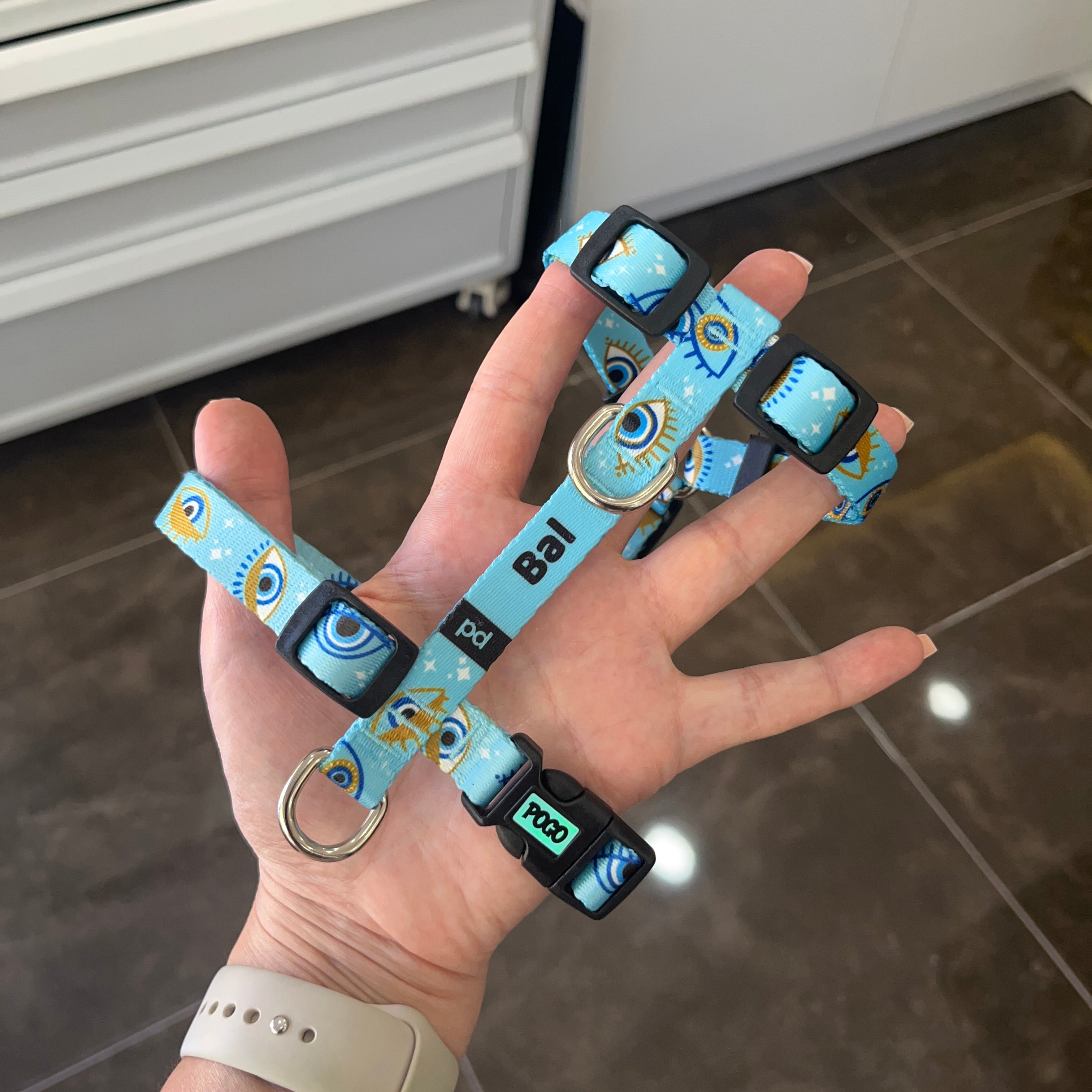 Elemterefiş | Tasma ve Künye Seti