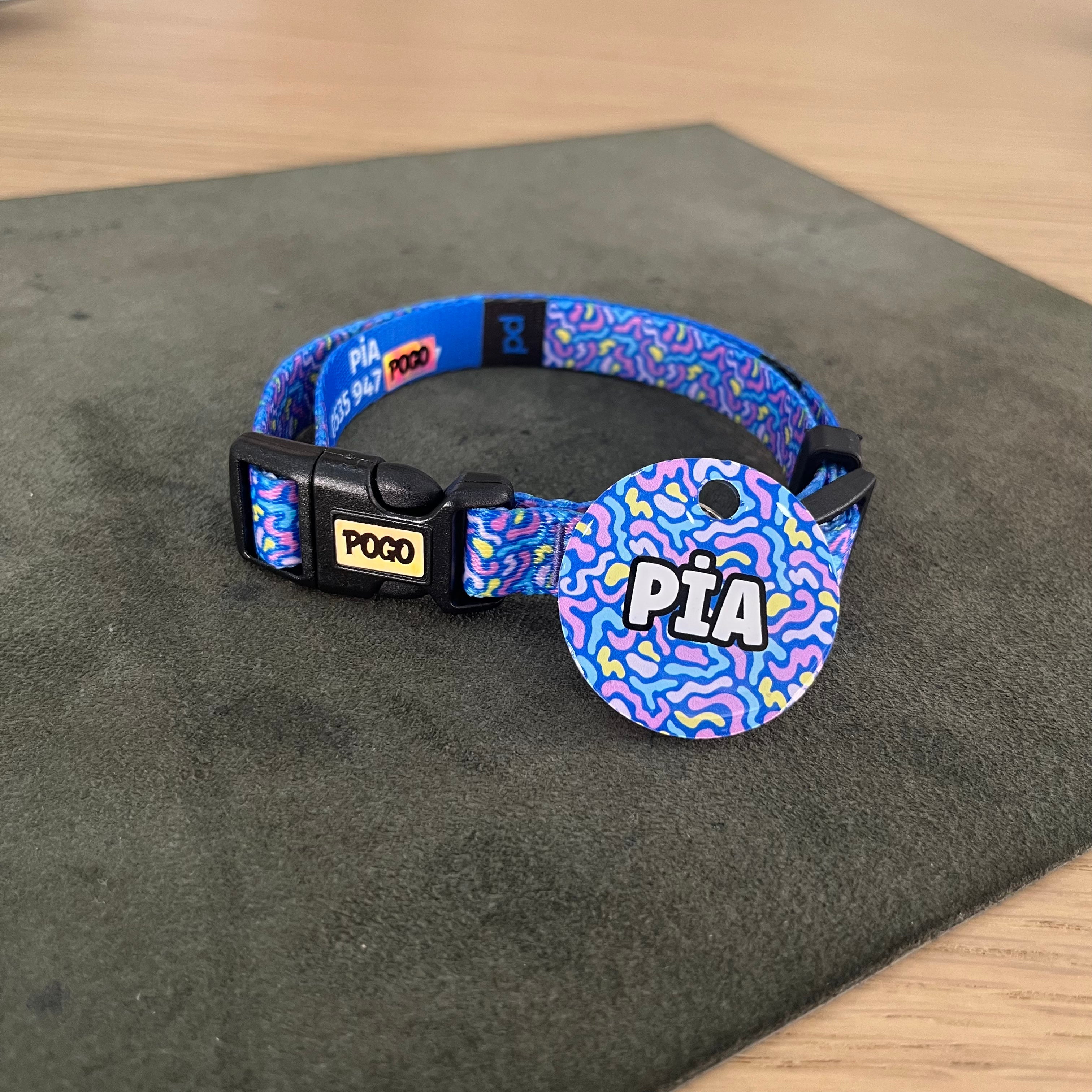 Glee | Tasma ve Künye Seti