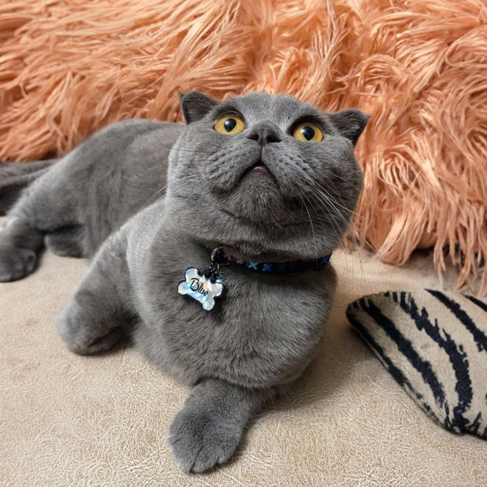 Gri Hologram Kemik | İsimlik