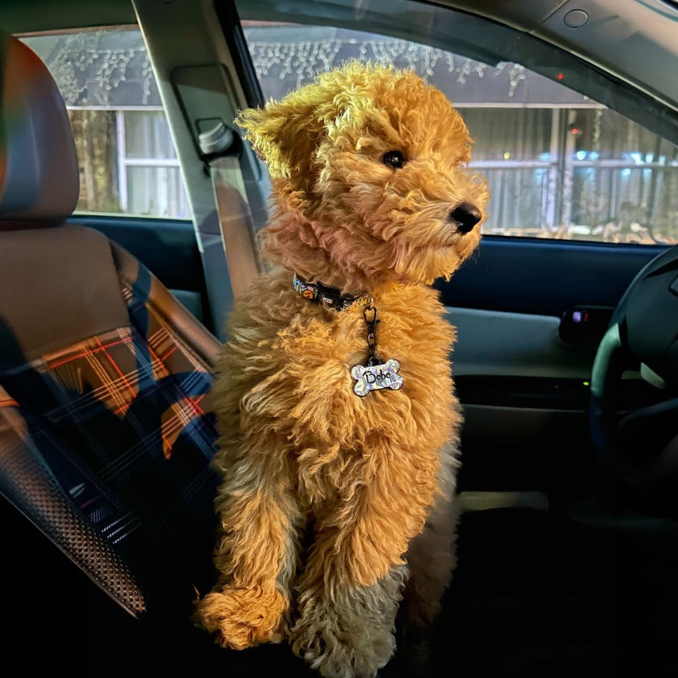 Gri Hologram Kemik | İsimlik