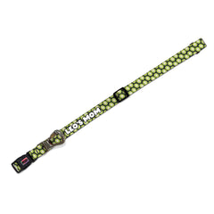 Kiwi | Eller Serbest Tasma