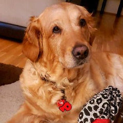 Kırmızı Neon Harf Künyeler | Tüm Harfler