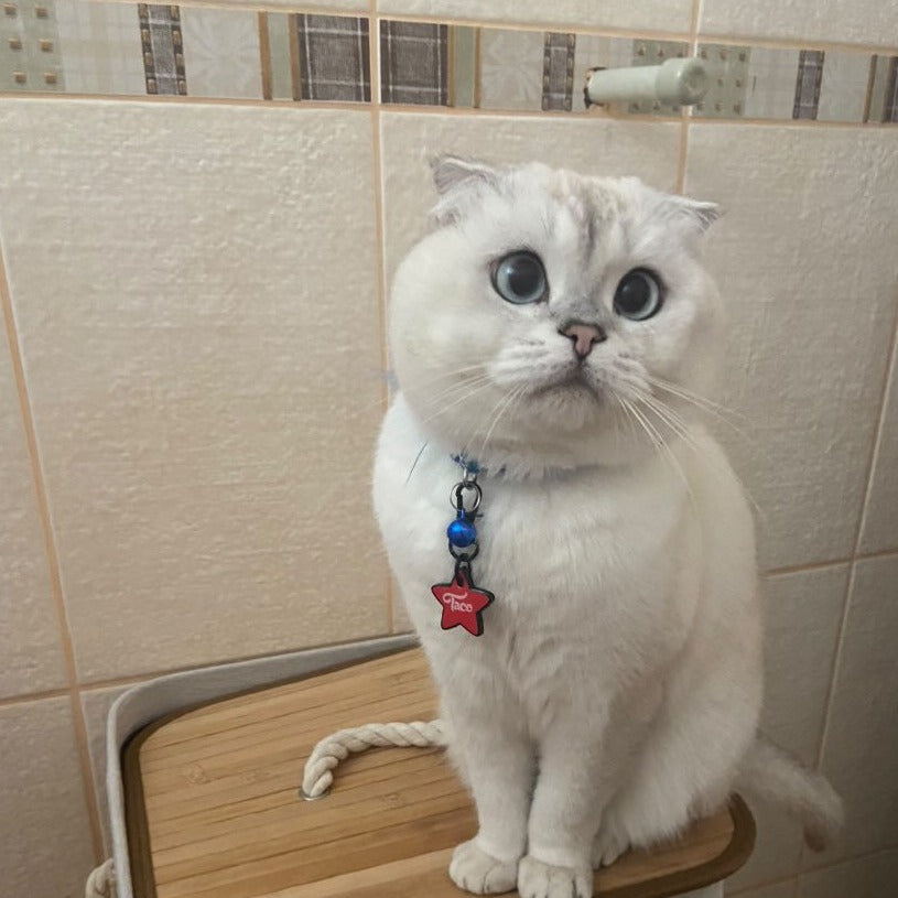 Kırmızı Neon Yıldız | İsimlik