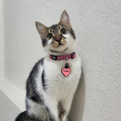 Pinky | Cat Collar