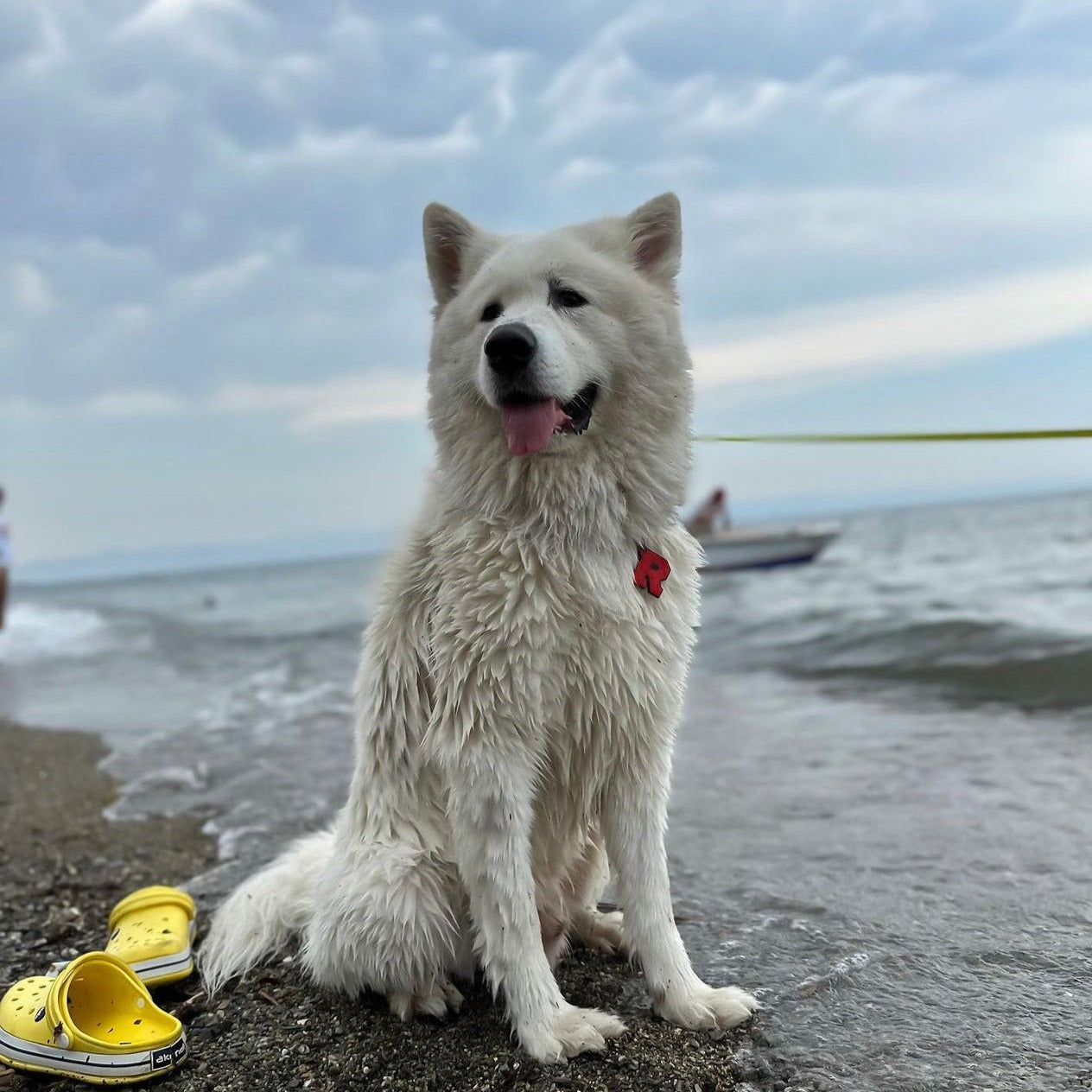 Kırmızı Neon Harf Künyeler | Tüm Harfler