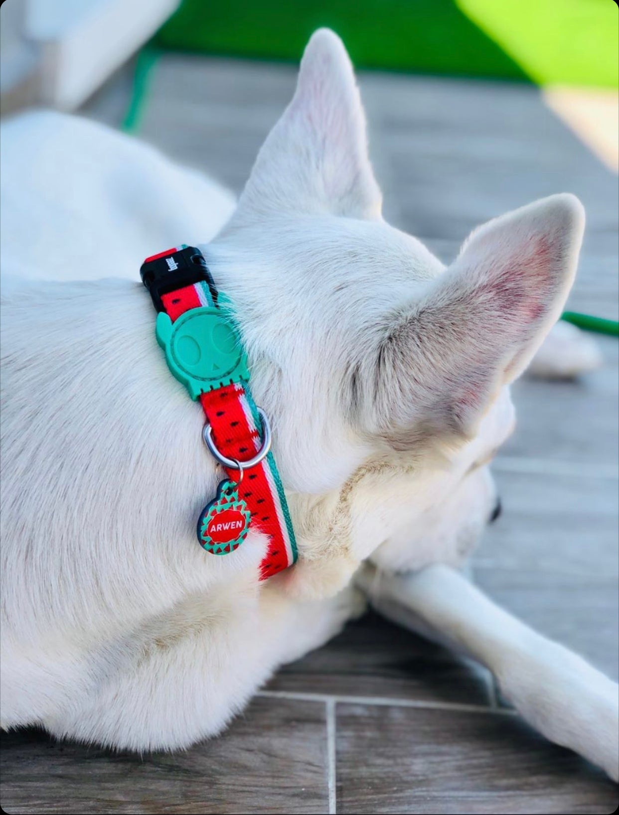 Karpuz Desenli Yuvarlak