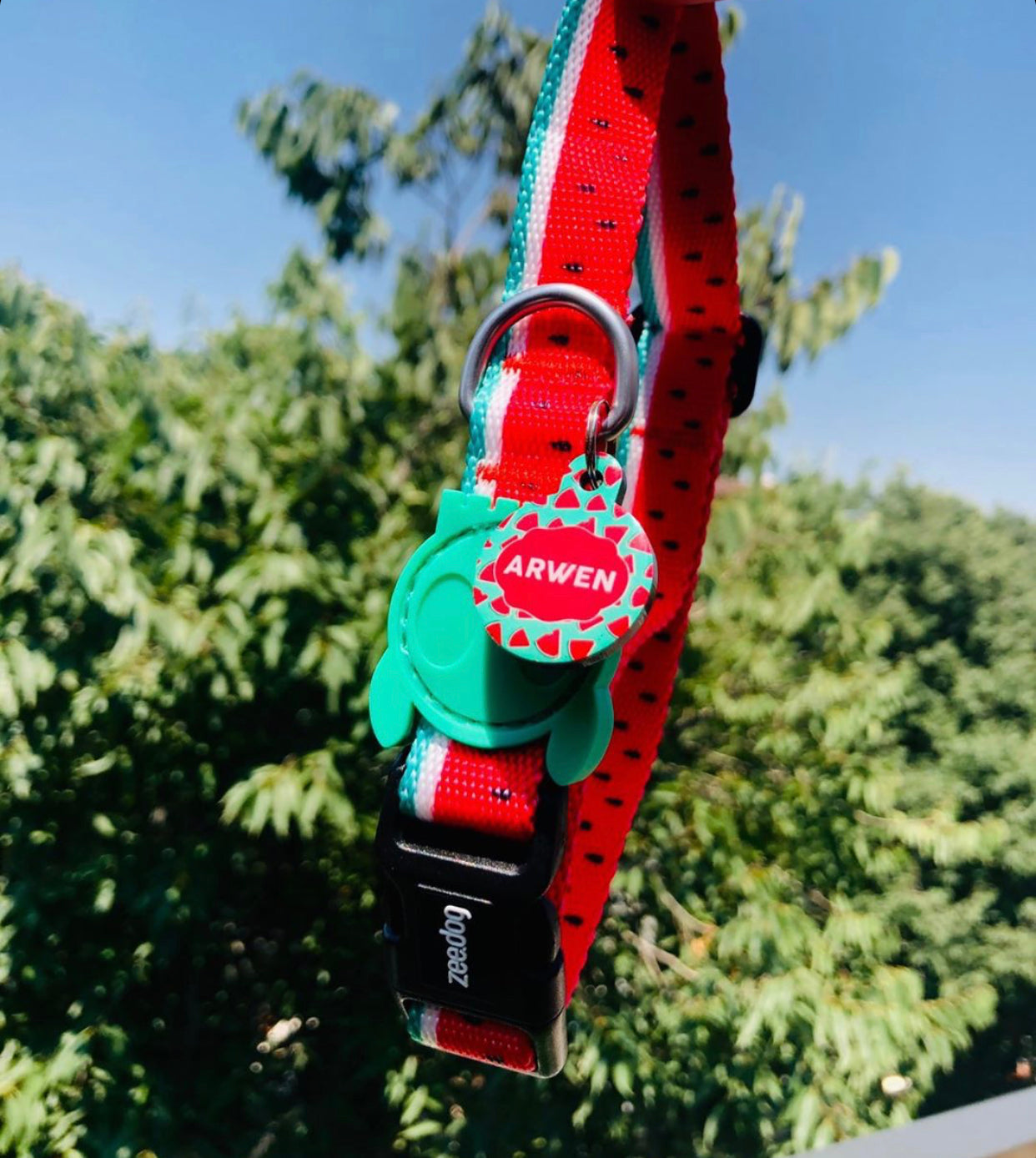 Karpuz Desenli Yuvarlak