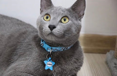 Mavi Yıldız Desenli Yıldız