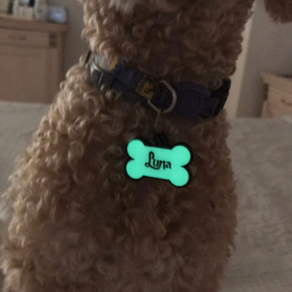 Lumi Kemik Fosforlu | İsimlik