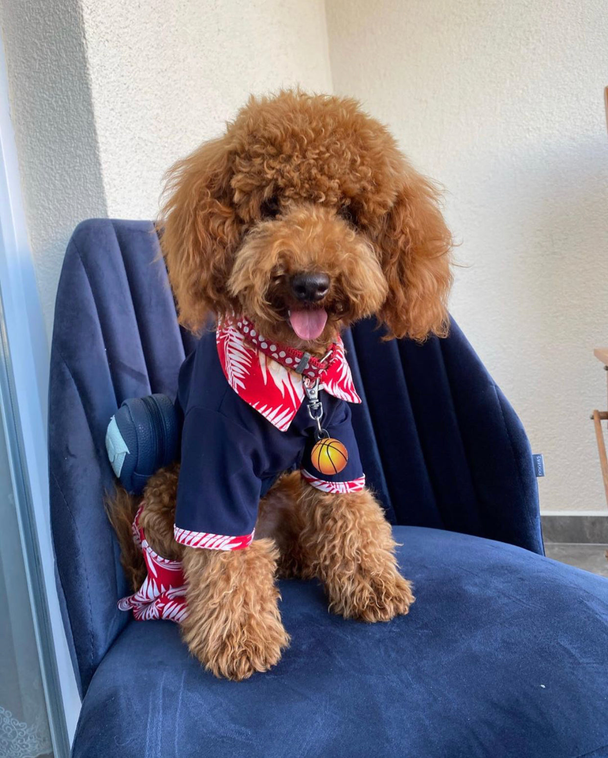 Basketbol Topu | Kedi Köpek İsimlik