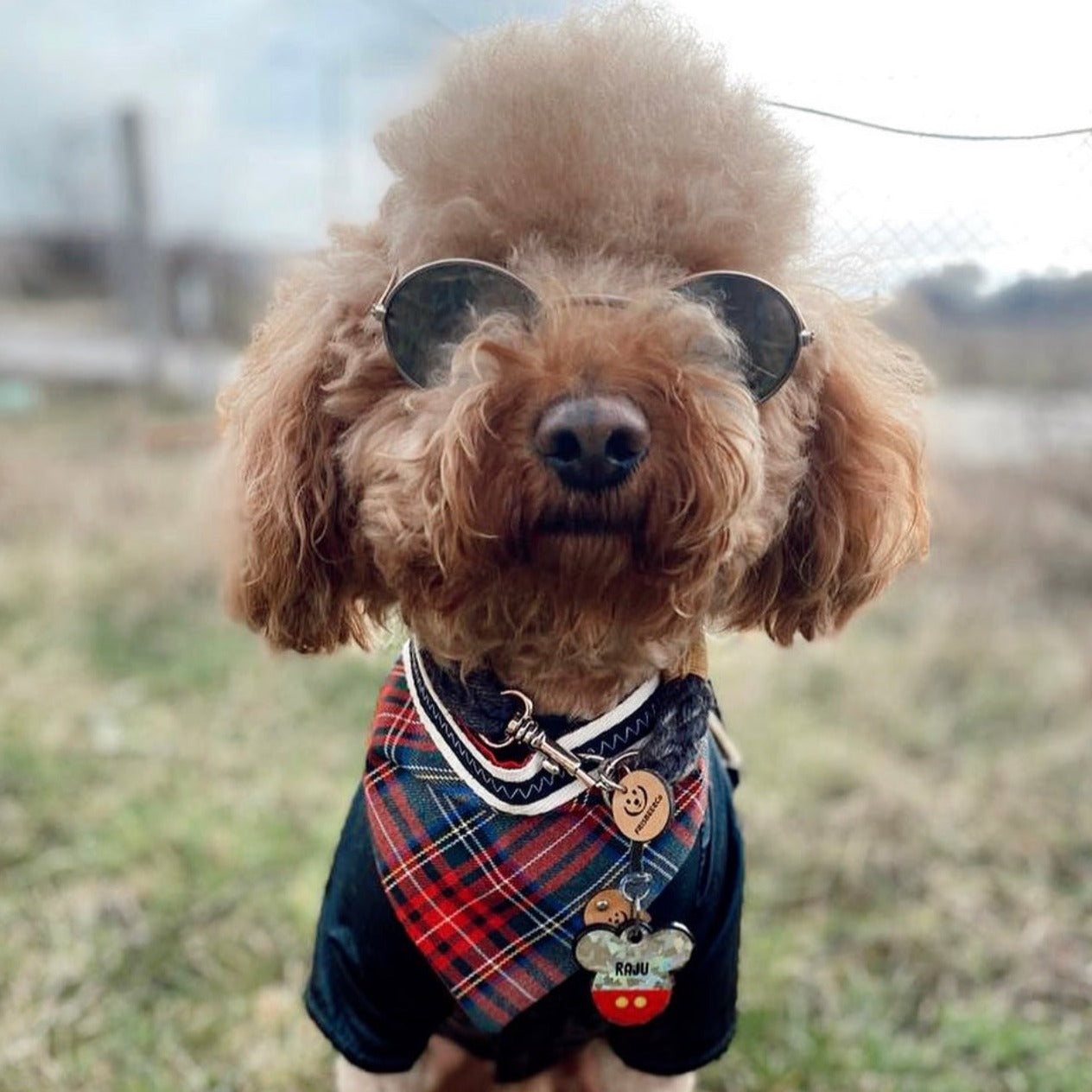 Mickey Hologram | İsimlik