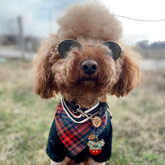 Mickey Hologram | İsimlik