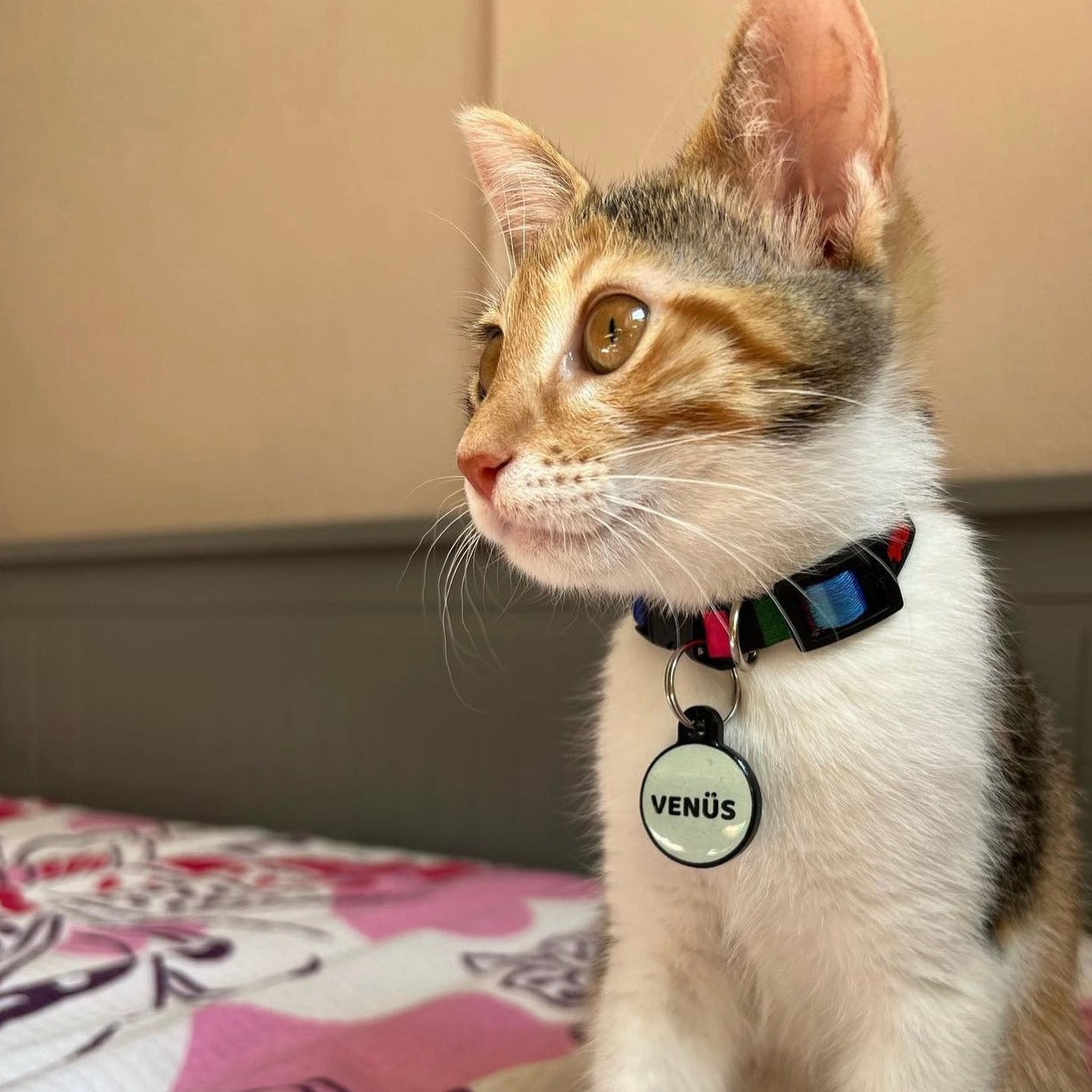 Lumi Yuvarlak Fosforlu | İsimlik