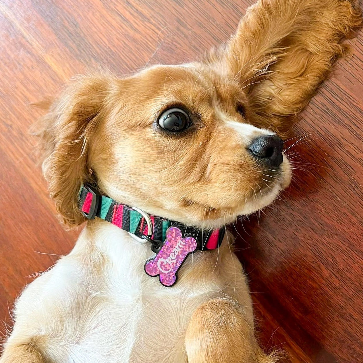 Mor Hologram Kemik | İsimlik