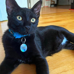 Holographic Yuvarlak | İsimlik