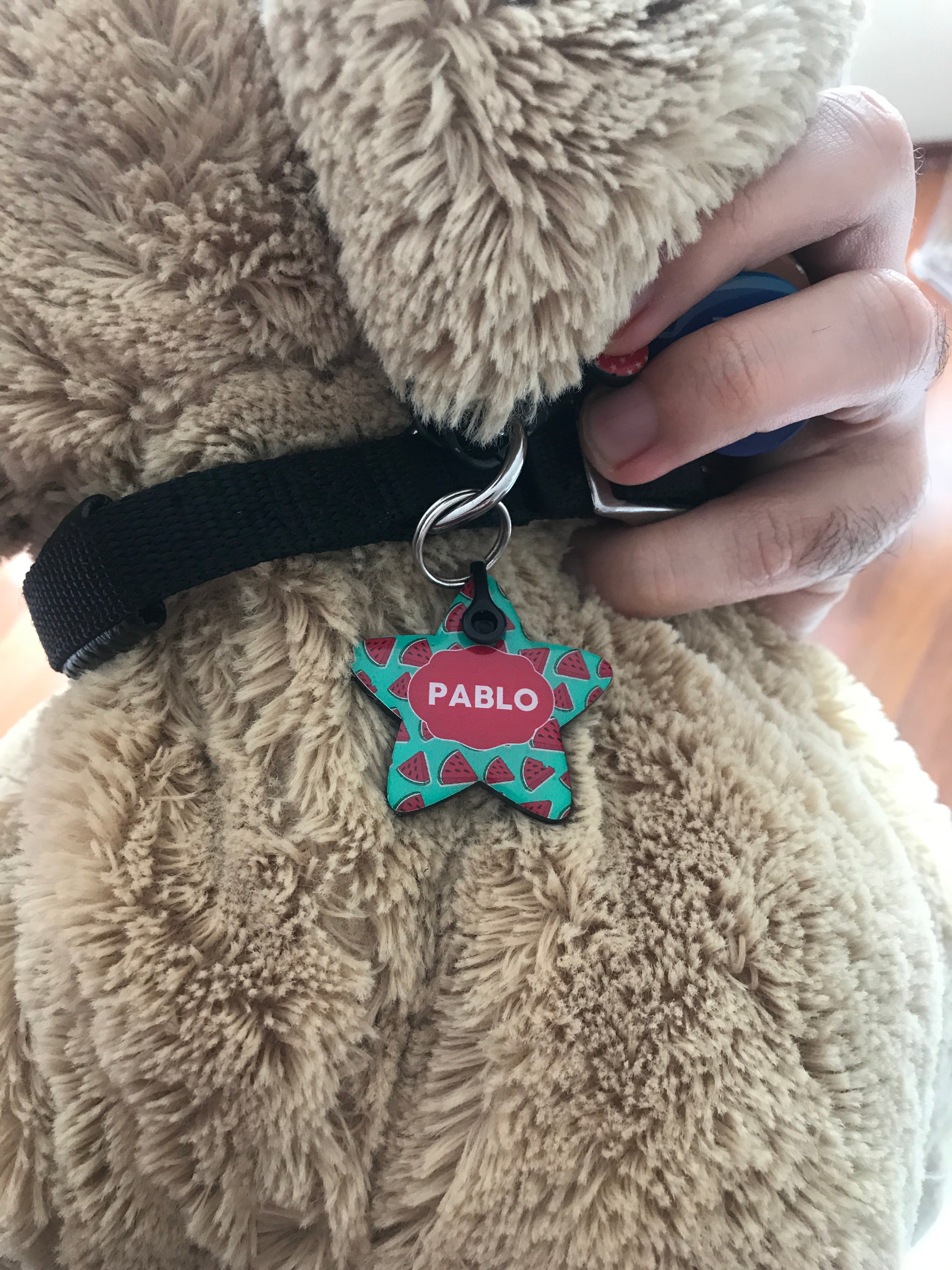 Karpuz Desenli Yıldız