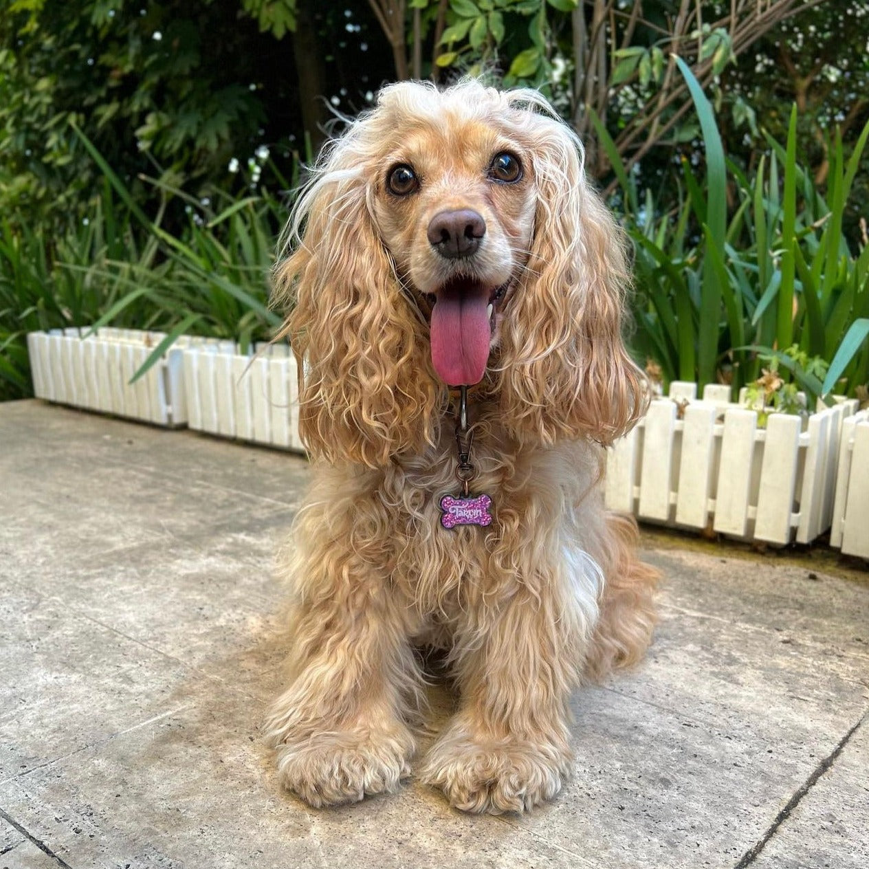 Mor Hologram Kemik | İsimlik