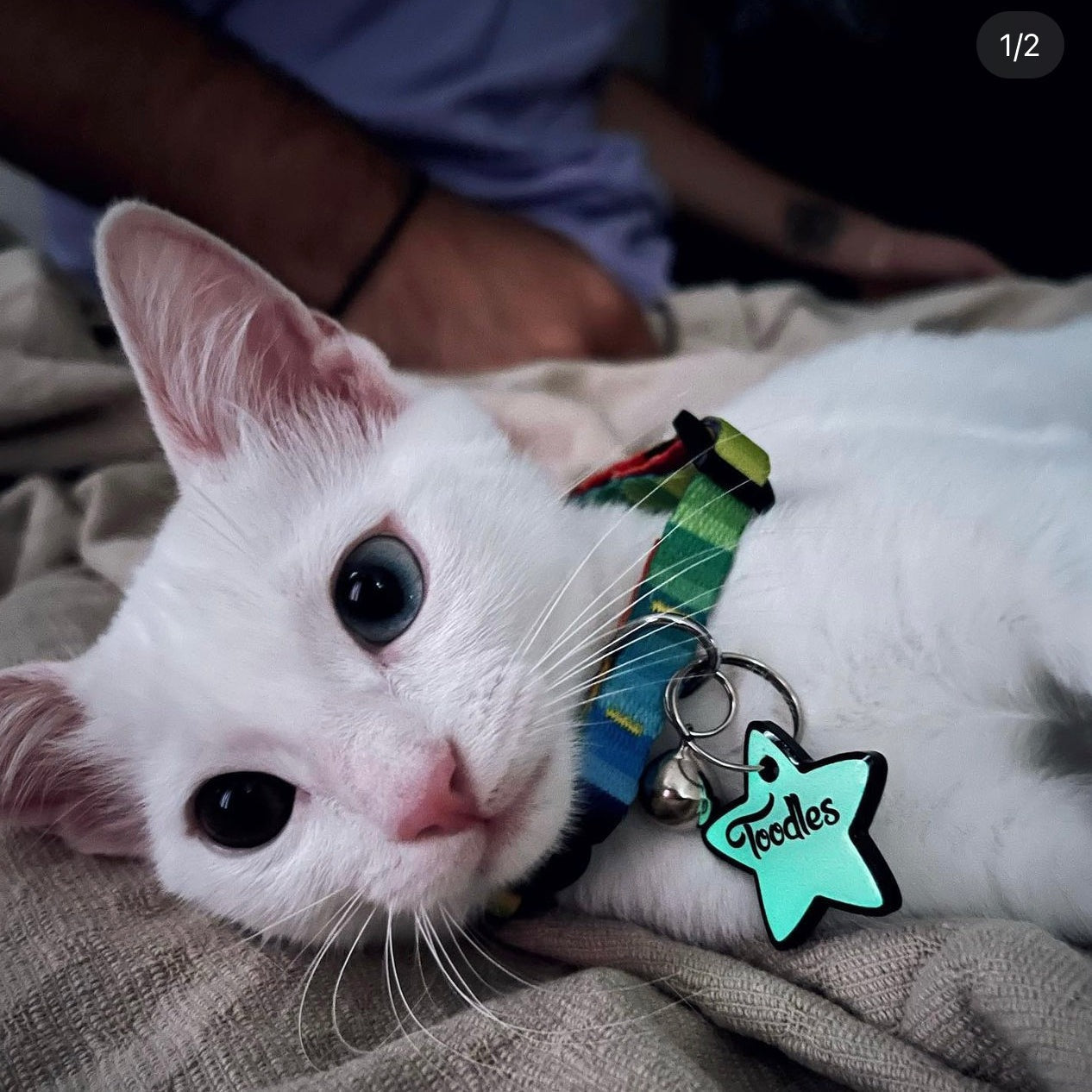 Lumi Yıldız Fosforlu | İsimlik