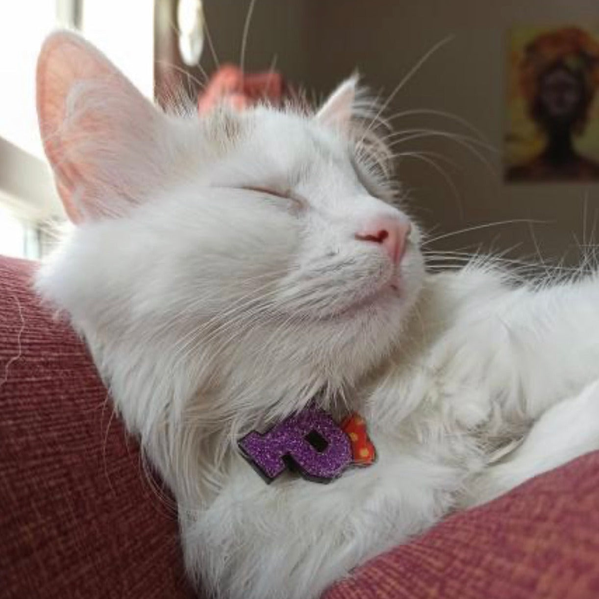 Mor Glitter Harf Künyeler | Tüm Harfler