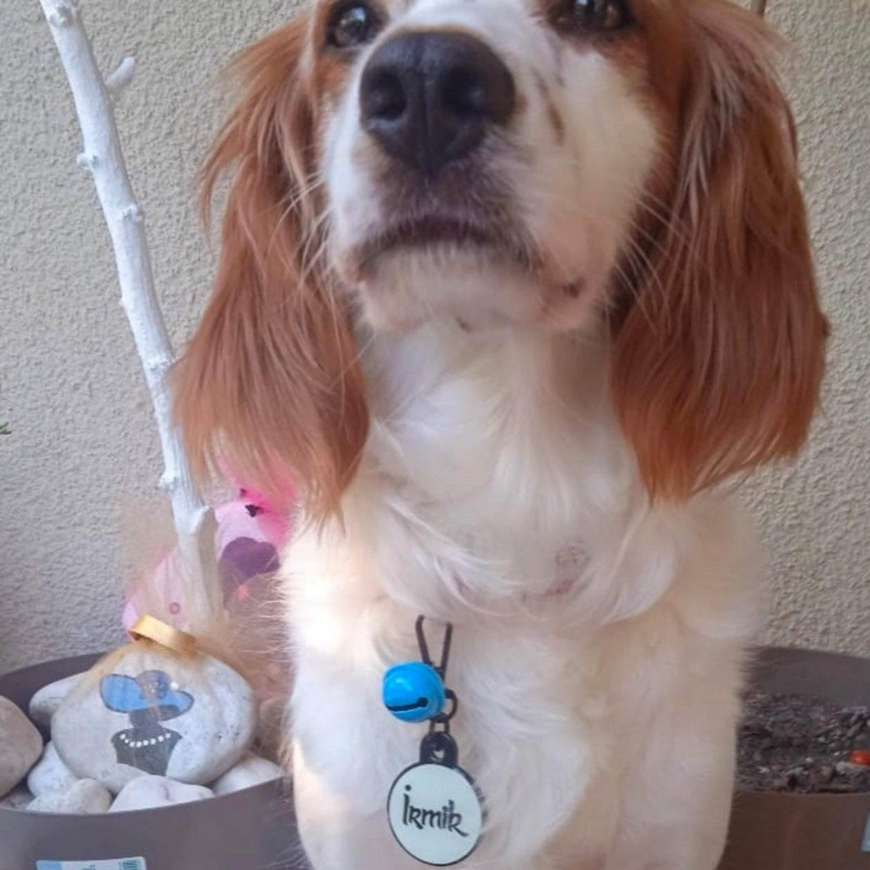 Lumi Yuvarlak Fosforlu | İsimlik