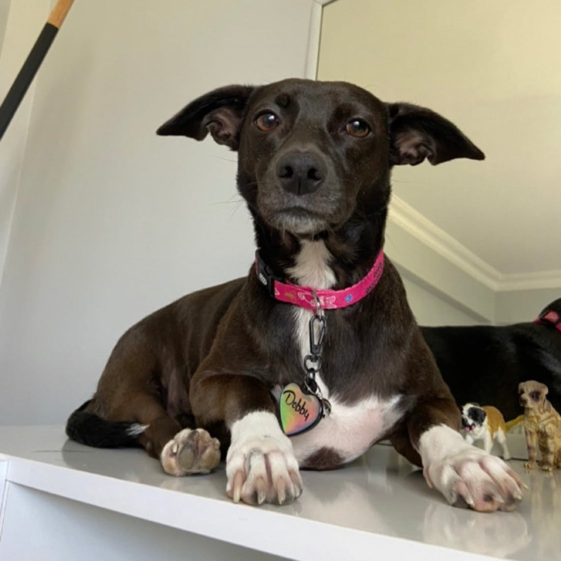 Holographic Kalp | İsimlik