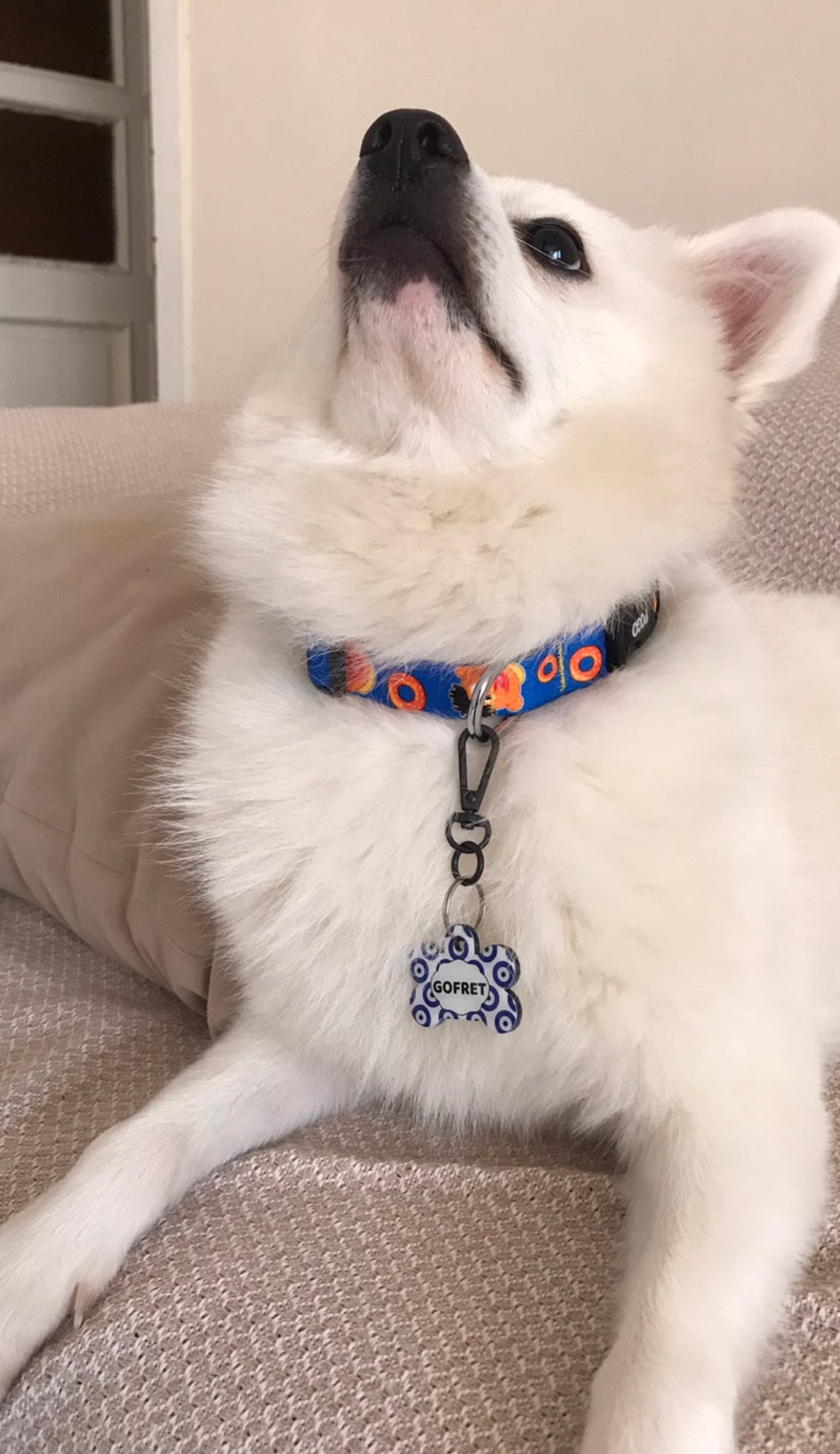 Nazar Boncuğu Kemik