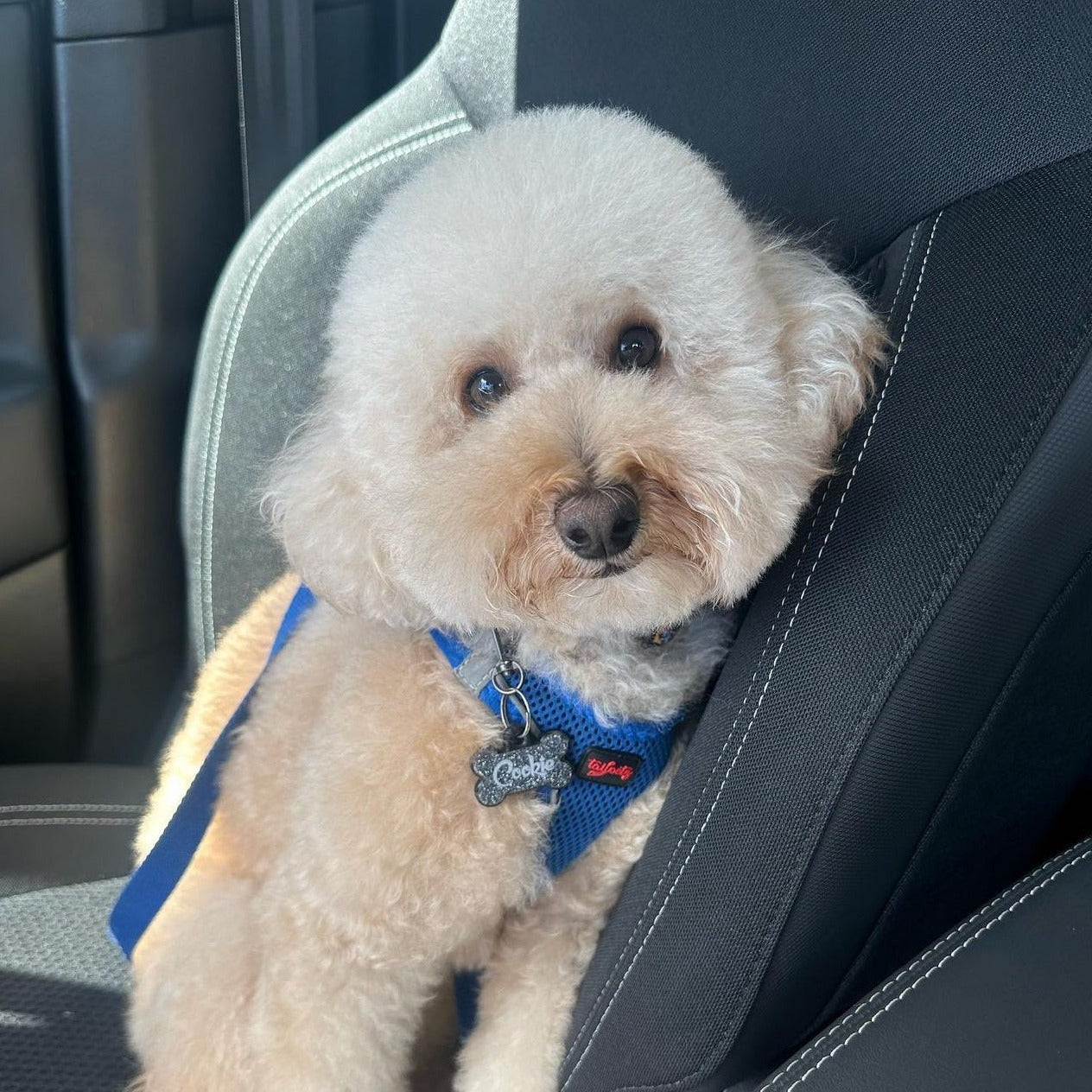 Gri Glitter Kemik | İsimlik