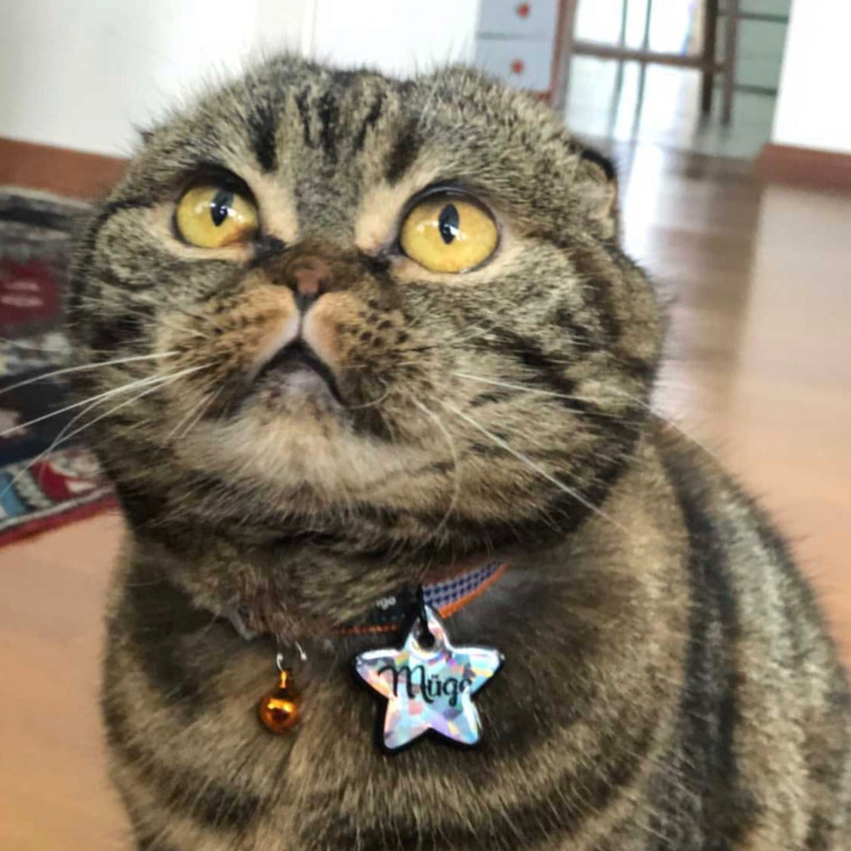 Gri Hologram Yıldız | İsimlik