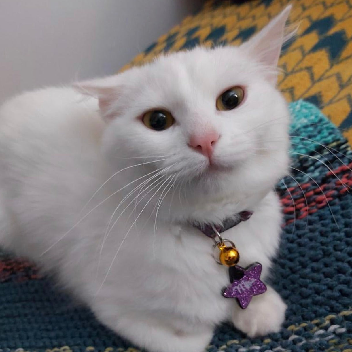 Mor Glitter Yıldız | İsimlik